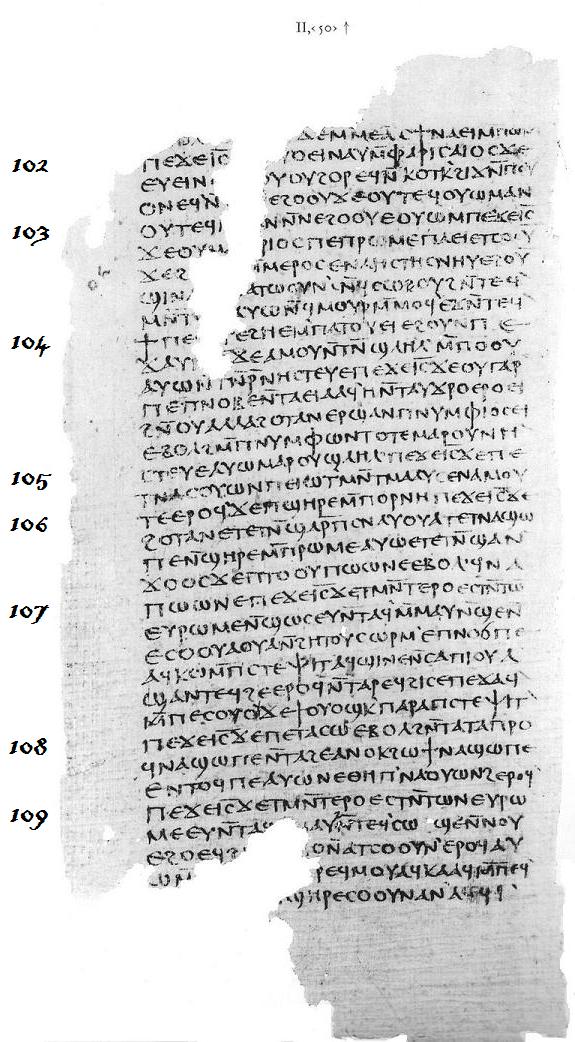 Ewangelia Tomasza str19